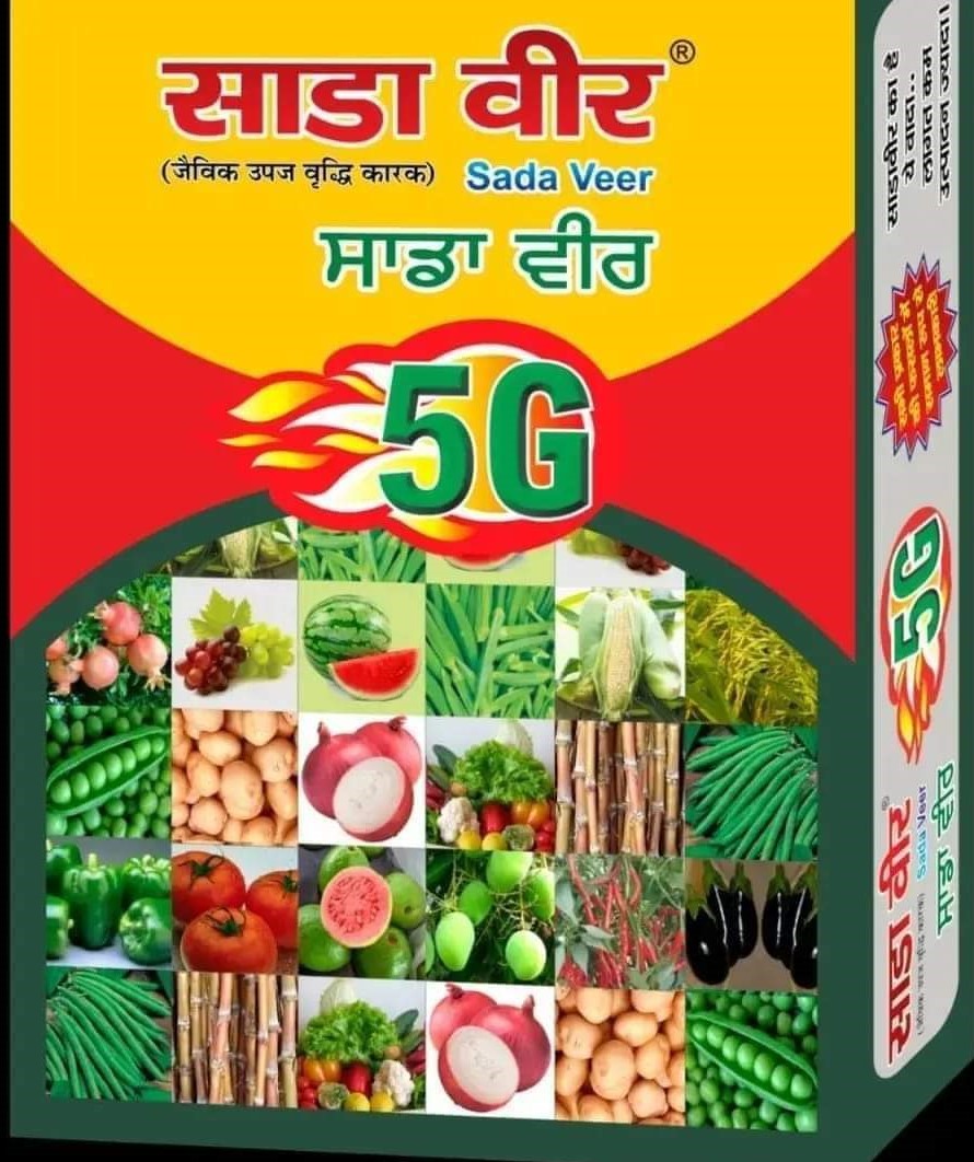साडा वीर 5G
